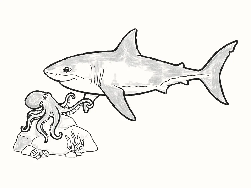 The octopus: a pencil drawing from DrawRabbit’s Shark world