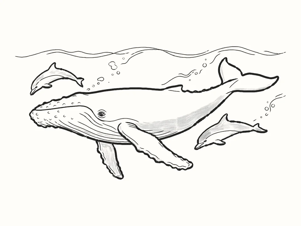 Racing the dolphins: a pencil drawing from DrawRabbit’s Whale world