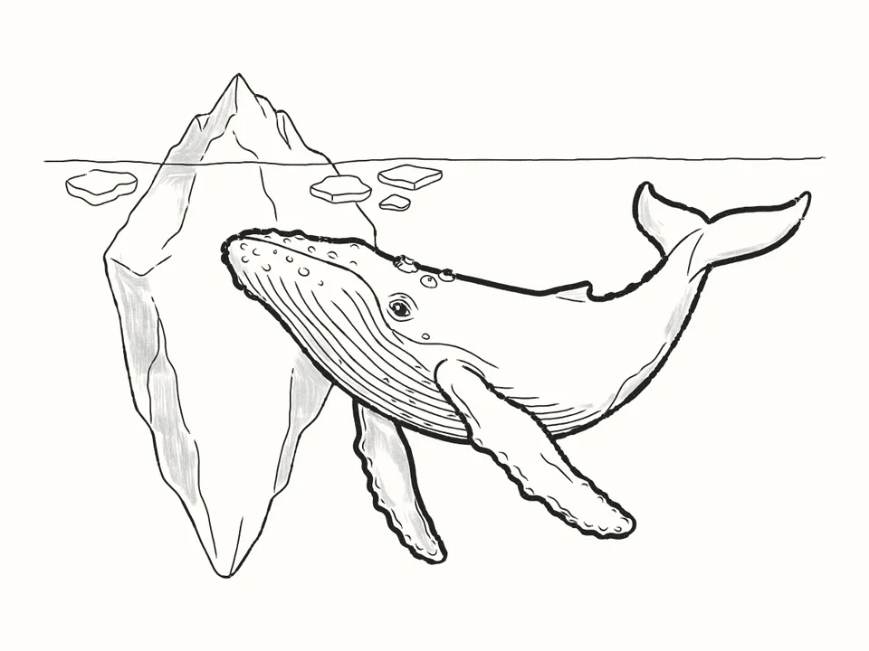Icebergs: a pencil drawing from DrawRabbit’s Whale world