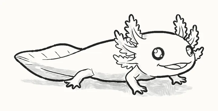 A finished pencil drawing of a cute axolotl with frilly gills, big eyes, a wide smile and a long finned tail
