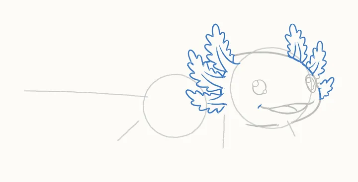 How to draw an axolotl, step 6: the gills
