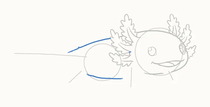 How to draw an axolotl, step 7: the body