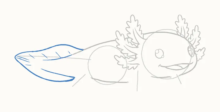 How to draw an axolotl, step 8: the tail