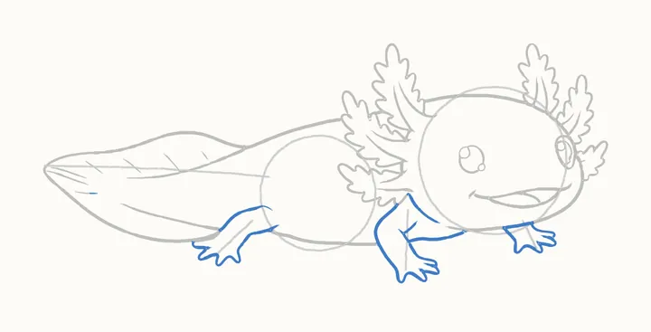 How to draw an axolotl, step 9: the legs