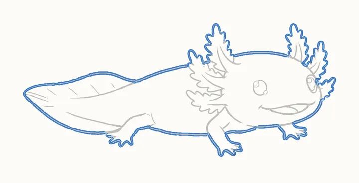 How to draw an axolotl, step 11: go over the outline