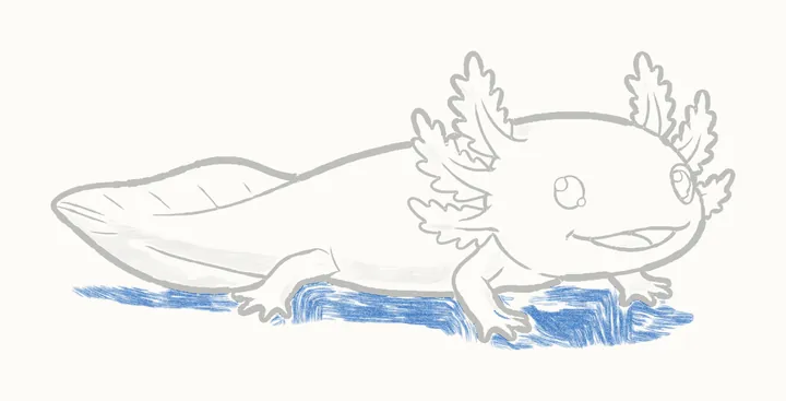 How to draw an axolotl, step 13: cast shadow