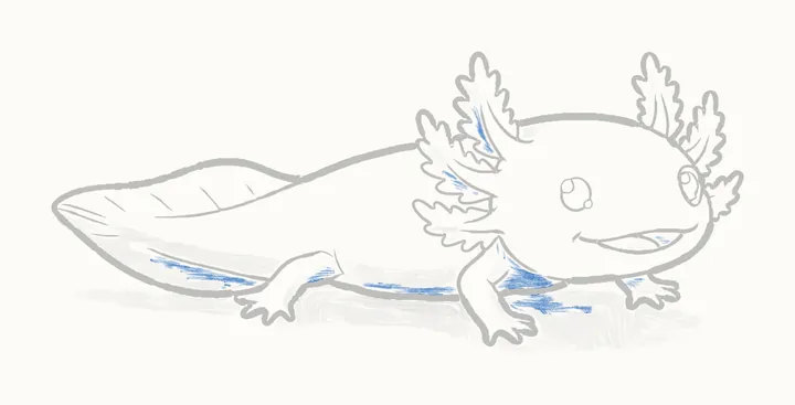 How to draw an axolotl, step 14: deep shadows