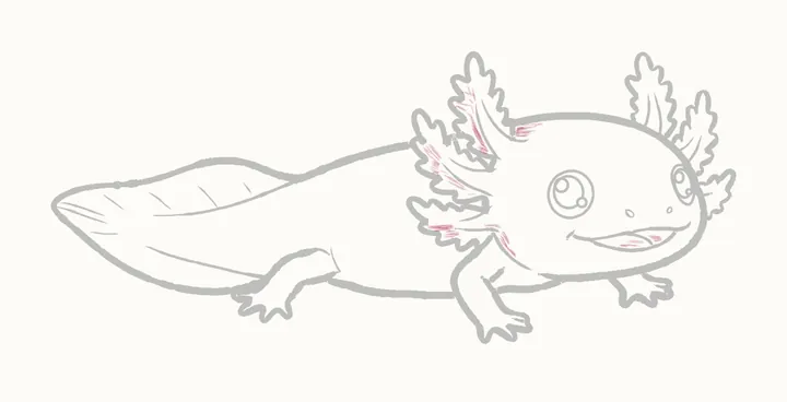 Como desenhar um axolote, passo 19: sombreie a cabeça