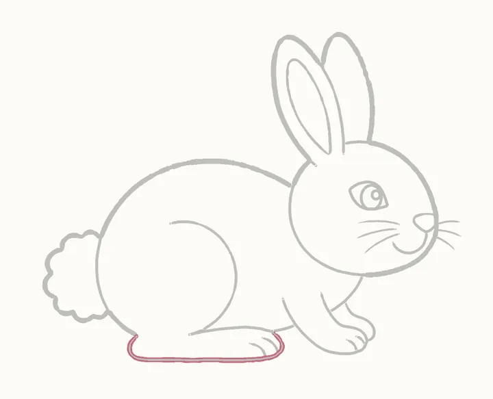 Cómo dibujar un conejo, paso 18: repasa el pie