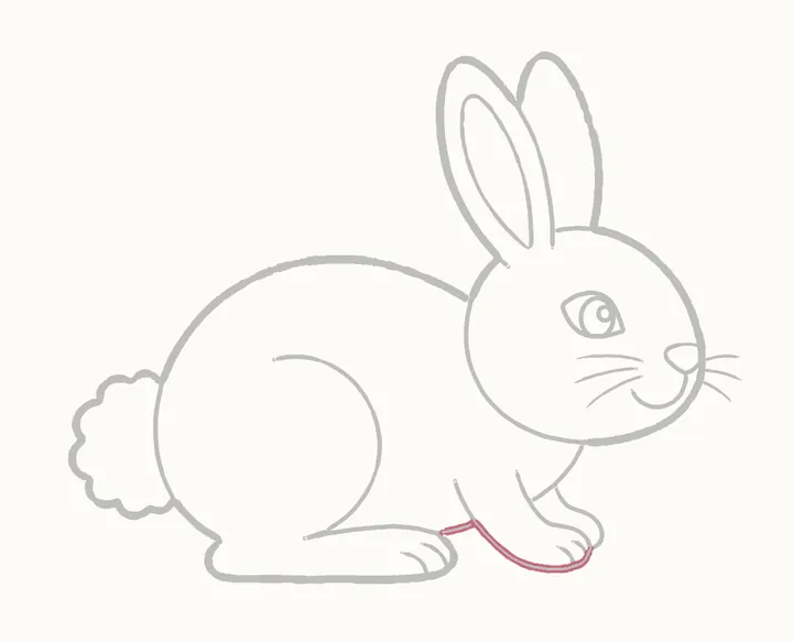Cómo dibujar un conejo, paso 19: repasa la pata de adelante