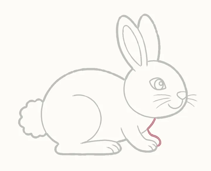 Cómo dibujar un conejo, paso 20: repasa el pecho