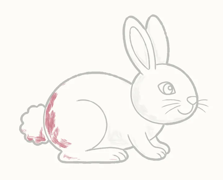 Cómo dibujar un conejo, paso 22: sombrea la espalda y la cola