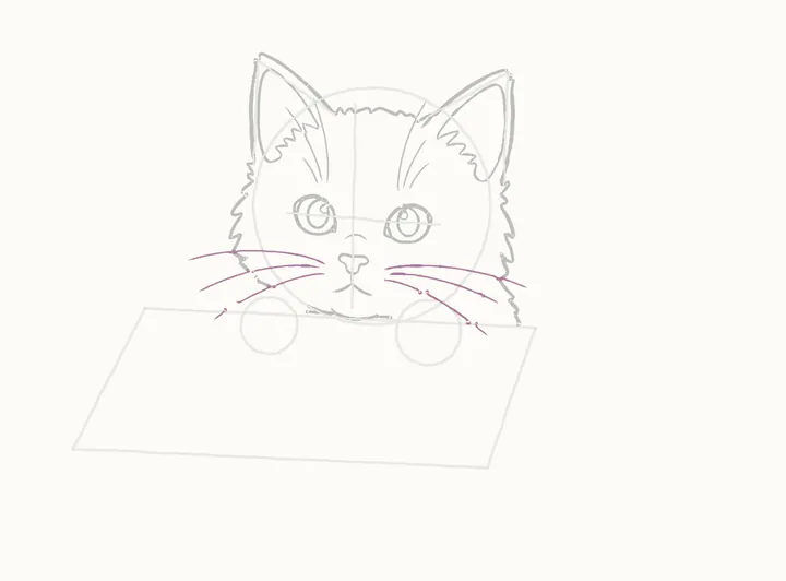 How to draw a cat in a box, step 8: the whiskers