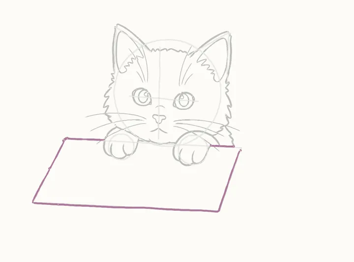 How to draw a cat in a box, step 10: the box's front