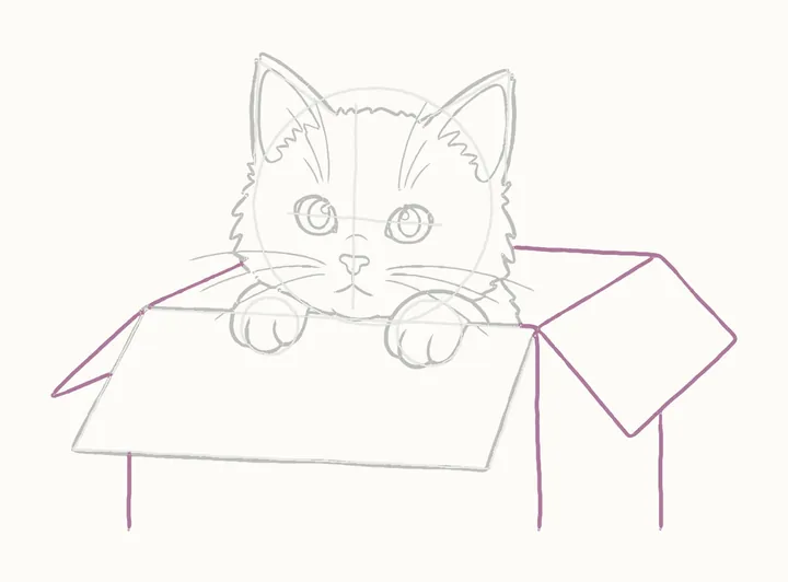 How to draw a cat in a box, step 11: flaps and sides