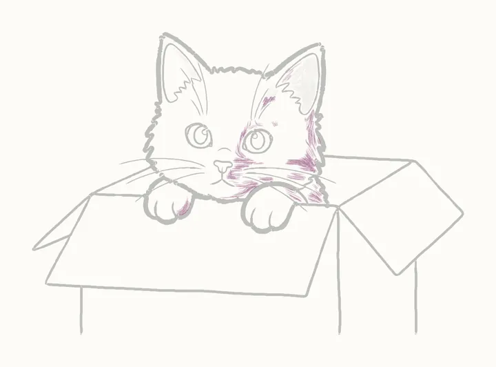 How to draw a cat in a box, step 16: her shadow side