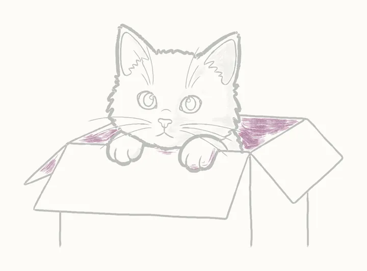 How to draw a cat in a box, step 17: inside the box
