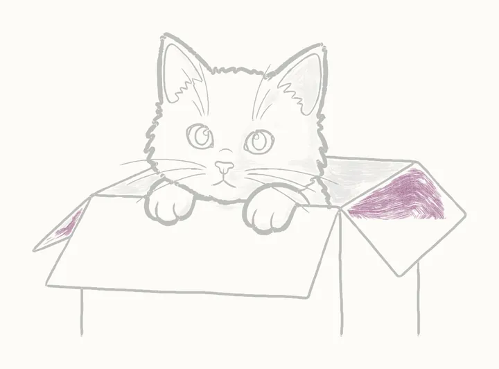How to draw a cat in a box, step 18: the right flap