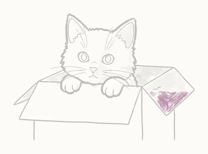 How to draw a cat in a box, step 19: the flap's lower half