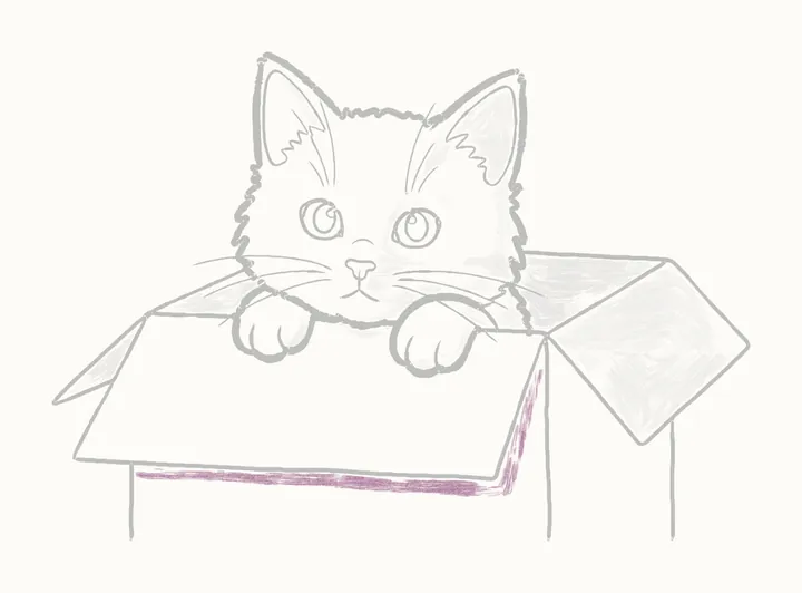 How to draw a cat in a box, step 20: under the front flap