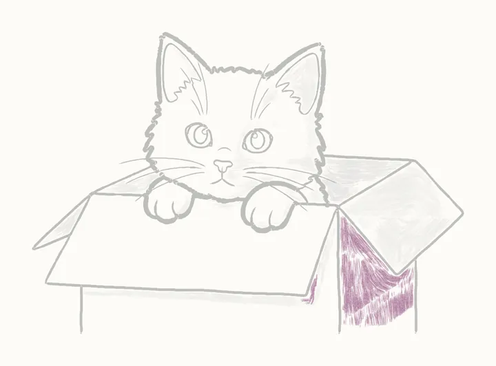 How to draw a cat in a box, step 21: the box's shadow side