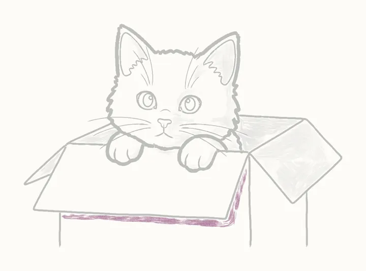 Como desenhar um gato na caixa, passo 24: embaixo da aba da frente