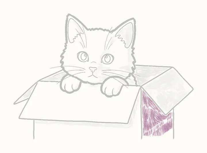Como desenhar um gato na caixa, passo 25: o lado da sombra da caixa