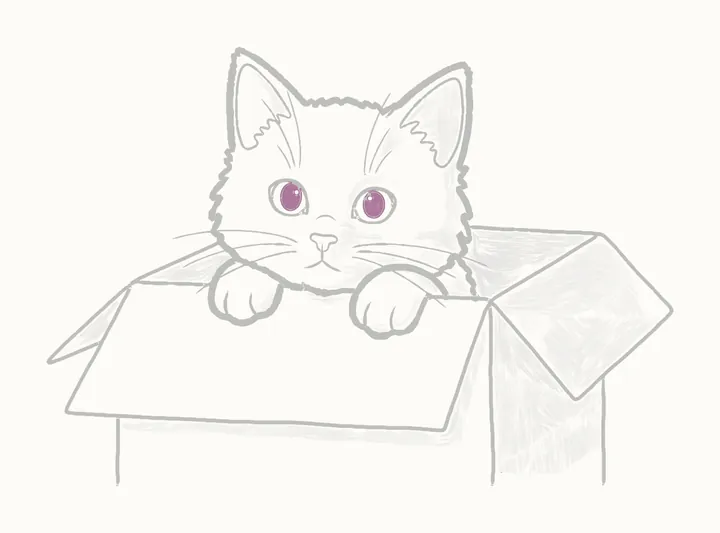 Como desenhar um gato na caixa, passo 26: os toques escuros