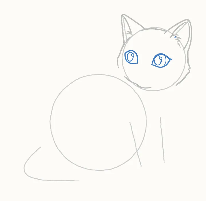 How to draw a cat, step 5: the eyes