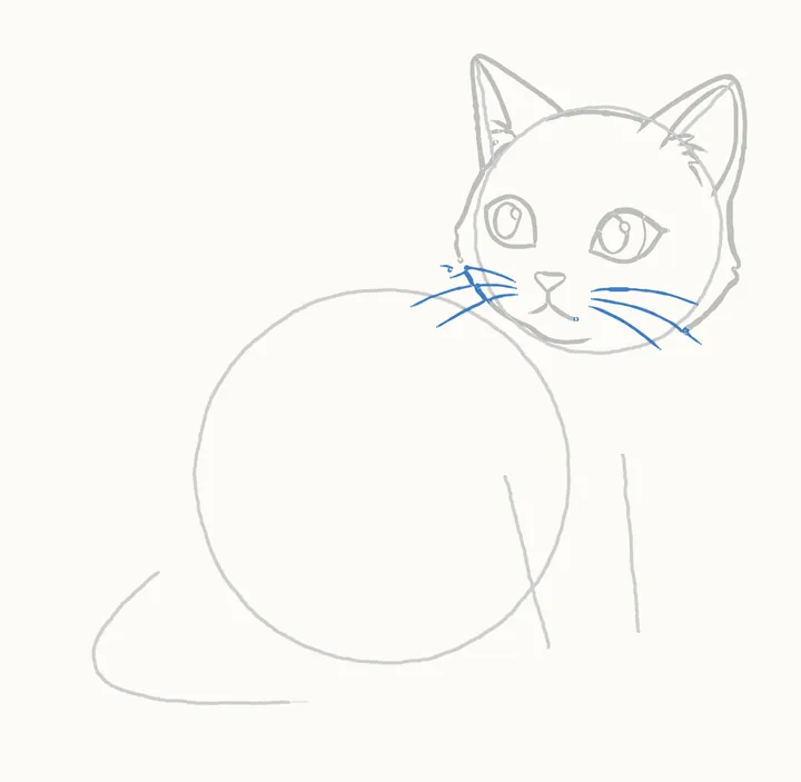 How to draw a cat, step 7: the whiskers