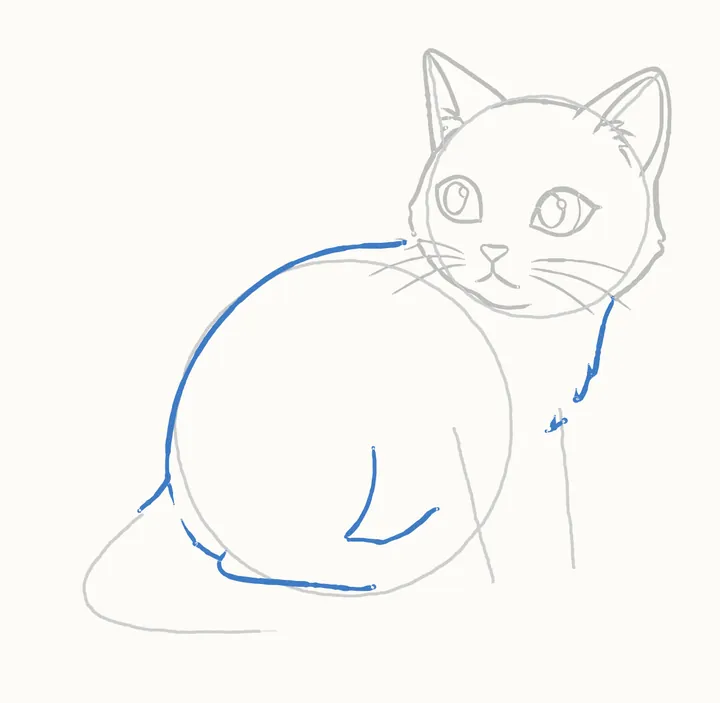 How to draw a cat, step 8: the back and chest