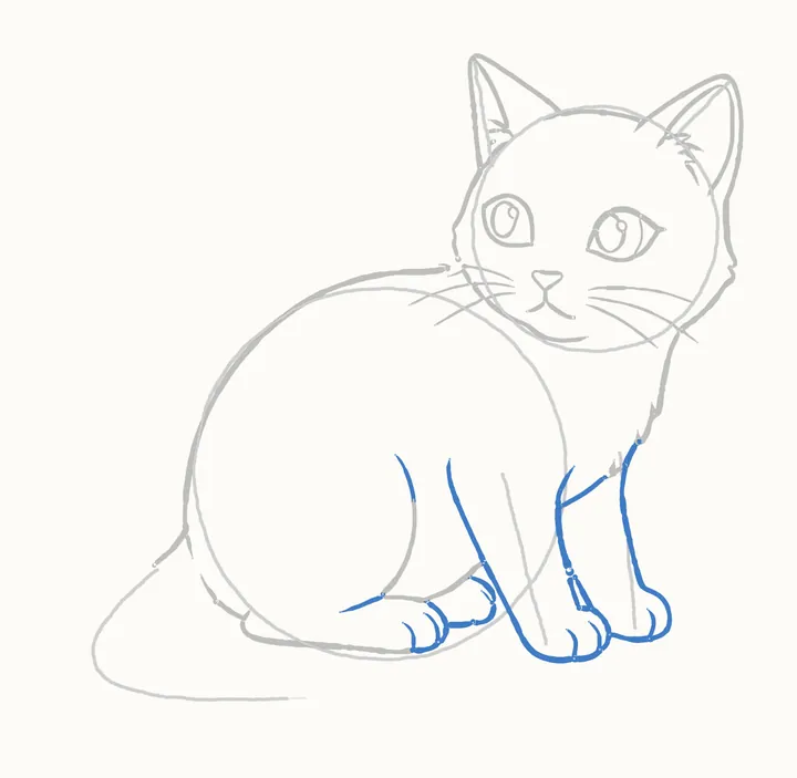 How to draw a cat, step 9: the legs