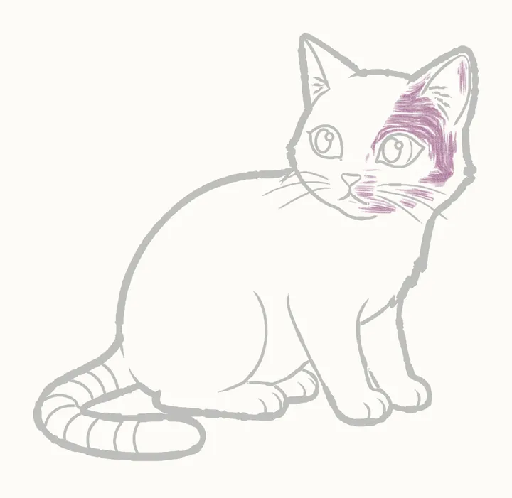 Cómo dibujar un gato, paso 19: el lado de la sombra de la cara