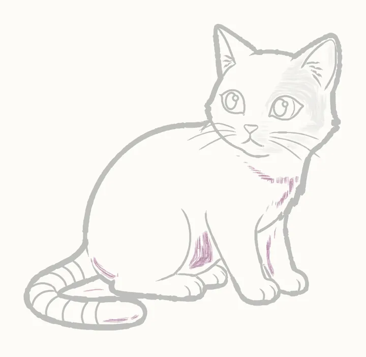 Cómo dibujar un gato, paso 20: el lado de la sombra del cuerpo