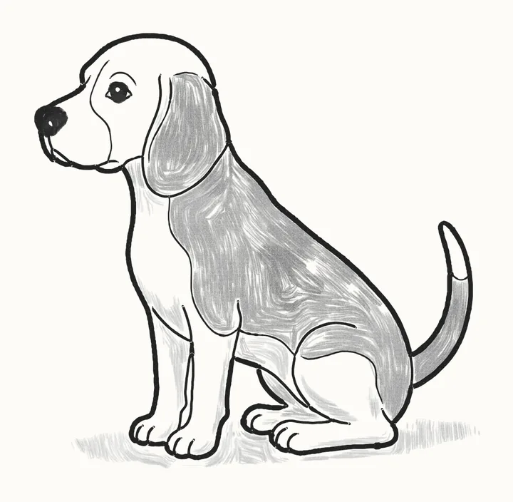 A finished pencil drawing of a beagle dog standing with a floppy ear, its tail up and shaded markings