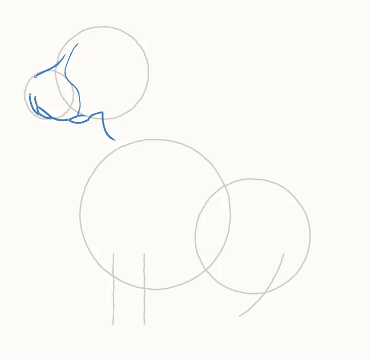 How to draw a dog, step 3: the head