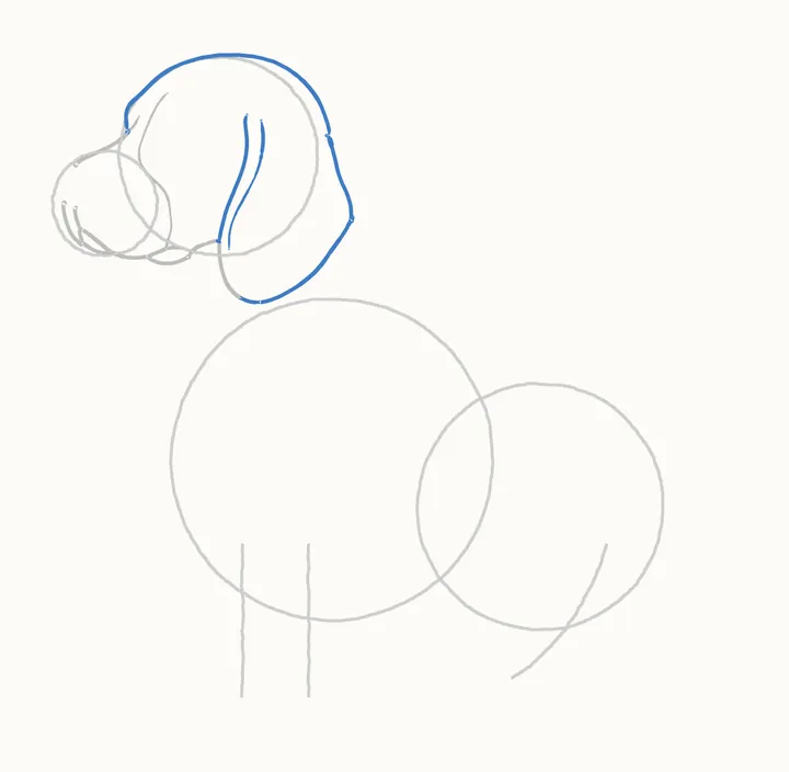 How to draw a dog, step 4: the ear