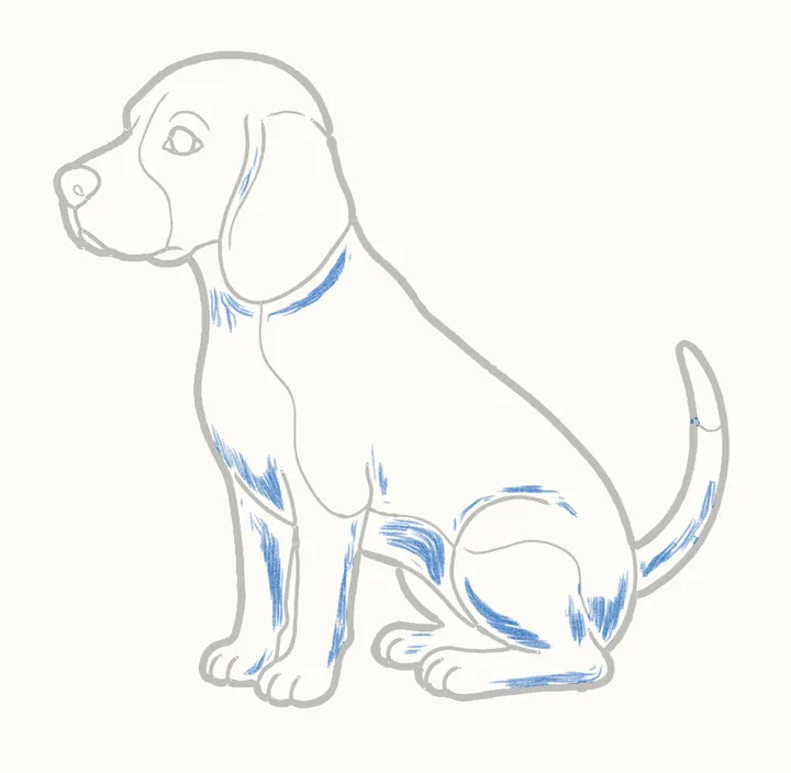 How to draw a dog, step 12: shadow side