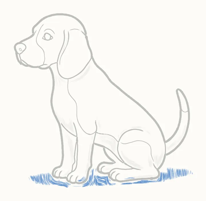 How to draw a dog, step 13: cast shadow