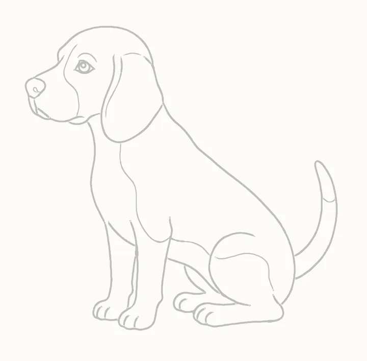 Cómo dibujar un perro, paso 18: borra las guías