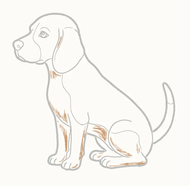 Cómo dibujar un perro, paso 20: el lado de la sombra