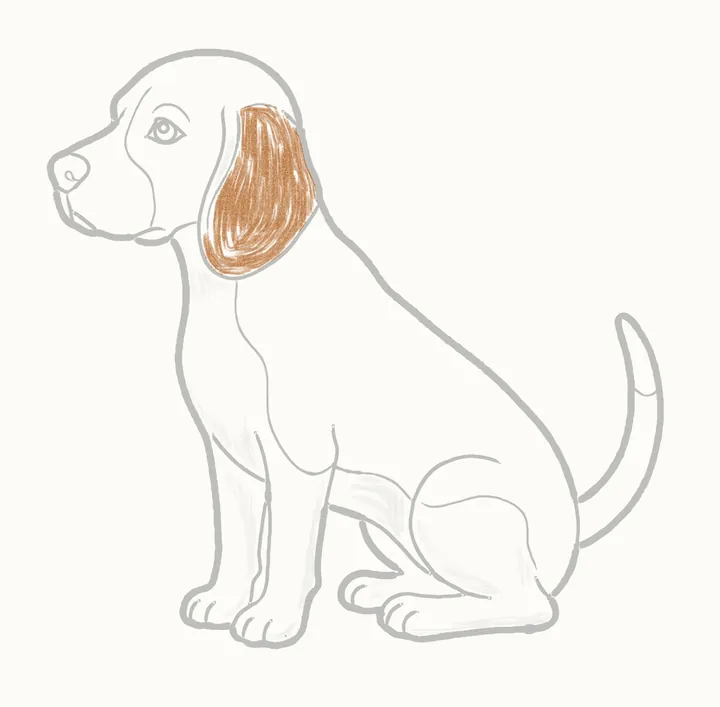 Cómo dibujar un perro, paso 21: rellena la oreja