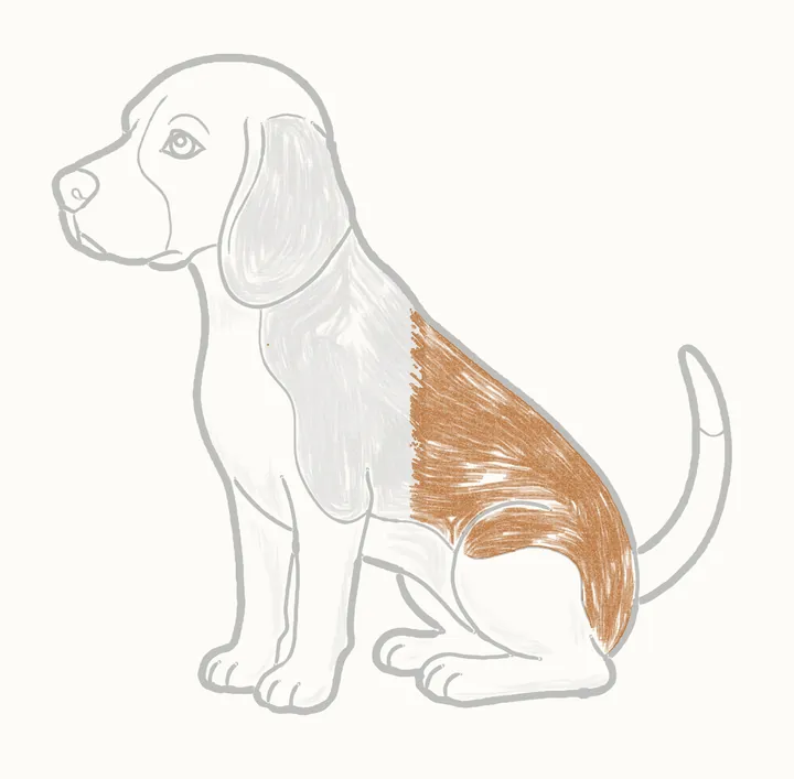 Cómo dibujar un perro, paso 23: sigue por la espalda