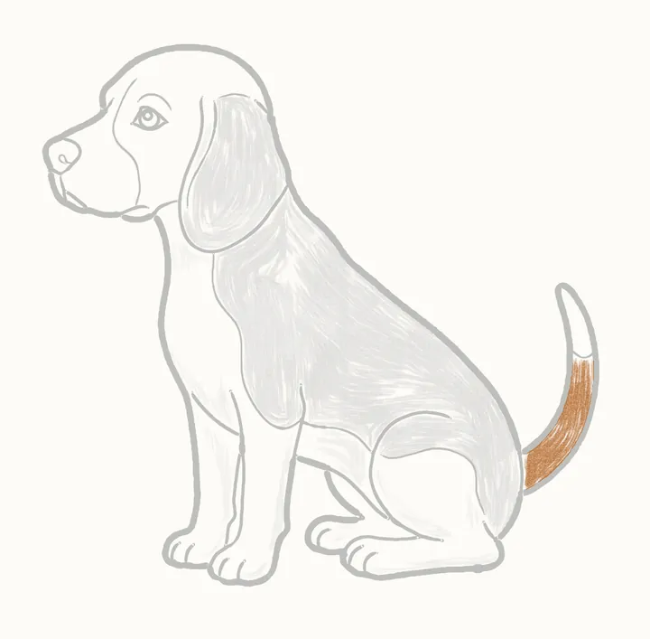 Cómo dibujar un perro, paso 24: rellena la cola