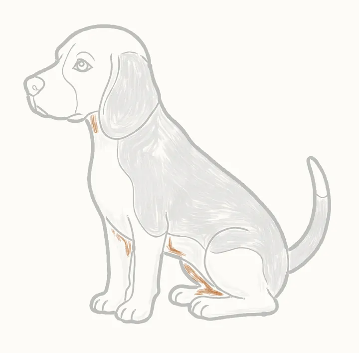 Cómo dibujar un perro, paso 25: sombras profundas