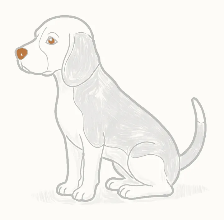 Cómo dibujar un perro, paso 27: los toques oscuros