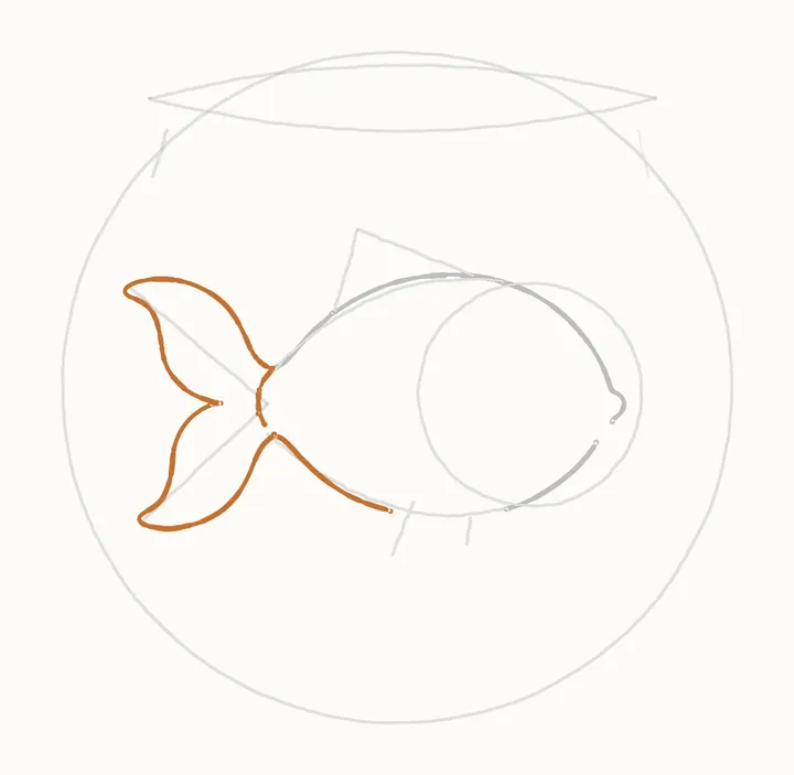 How to draw a fish in a bowl, step 5: the tail and belly
