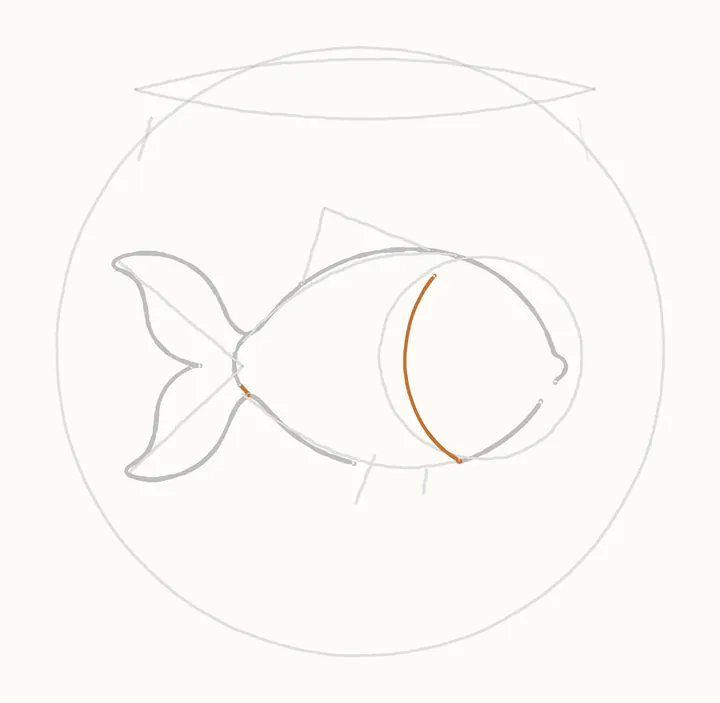 How to draw a fish in a bowl, step 6: the face line
