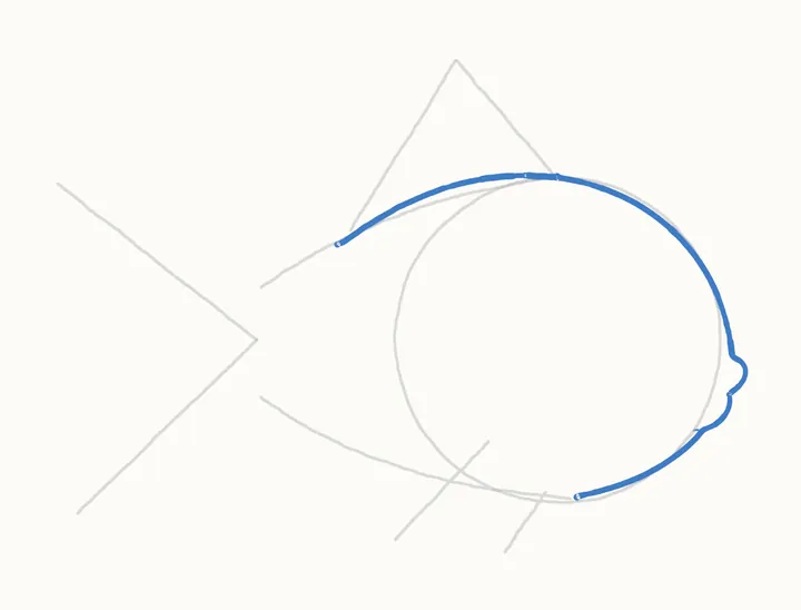 How to draw a fish, step 3: the back and head