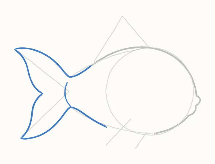 How to draw a fish, step 4: the tail and belly